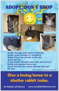 NRLB adopt don't shop give a shelter rabbit a home