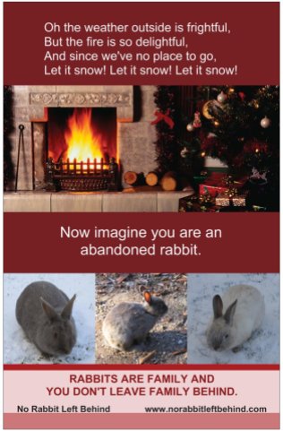 NRLB rabbits in the snow poster