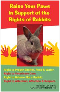 NRLB Rabbit Rights poster
